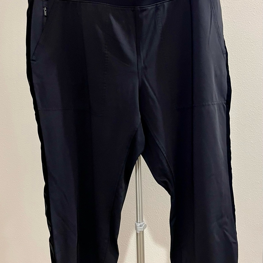 VENICE VELVET STRIPE JOGGER, 2X